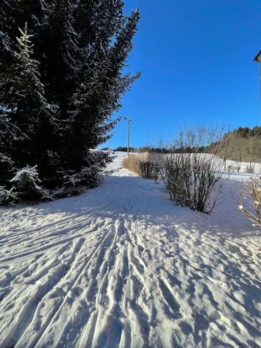 Franzis Feriendomizil Im Herzgebirge Am Skihang Auerbach  Eksteriør billede