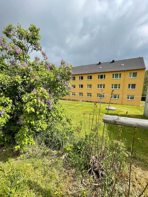 Franzis Feriendomizil Im Herzgebirge Am Skihang Auerbach  Eksteriør billede