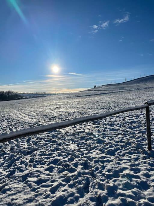 Franzis Feriendomizil Im Herzgebirge Am Skihang Auerbach  Eksteriør billede