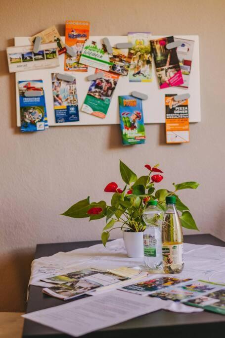 Franzis Feriendomizil Im Herzgebirge Am Skihang Auerbach  Eksteriør billede